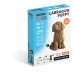 Labrador Puppy- karton