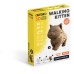 Walking Kitten- karton Walking Kitten- karton