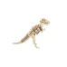 Bouwpakket Tyrannosaurus- klein