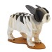 Papiermodel Franse Bulldog