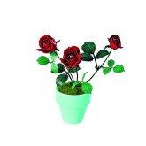 Bouwpakket 3D Model DIY Rode Roos in Pot- gekleurd