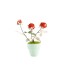 Bouwpakket 3D Model DIY Rode Roos in Pot- gekleurd