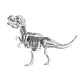 Bouwpakket 3D Model DIY Dino T-Rex Tyrannosaurus- metaal