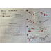 Bouwpakket 3D Model DIY Wolf- metaal