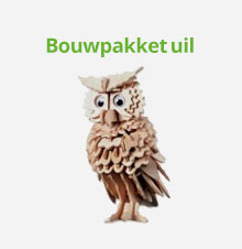 Bouwpakket uil