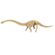 Bouwpakket  Diplodocus
