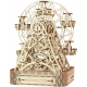 Bouwpakket Reuzenrad Mechanisch- hout